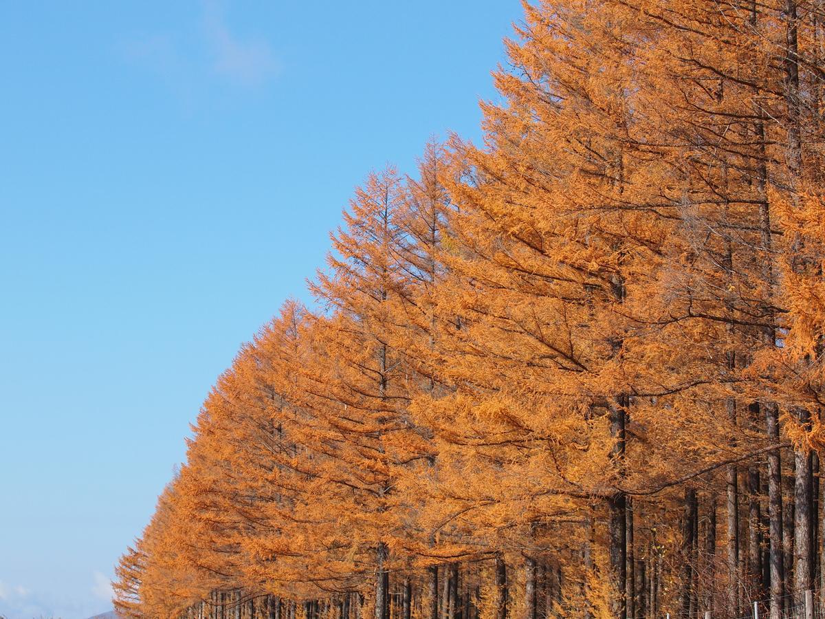 Log Hotel Larch Lake Kanayama Minamifurano Exterior photo